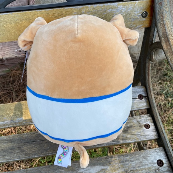 Squishmallow Puppy “Spencer” 10” - Picture 3 of 5